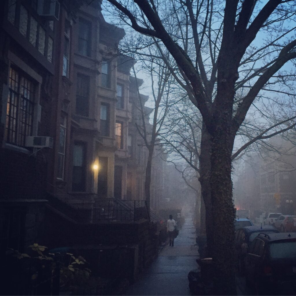 Lincoln Place Fog, Brooklyn, NY, 2016