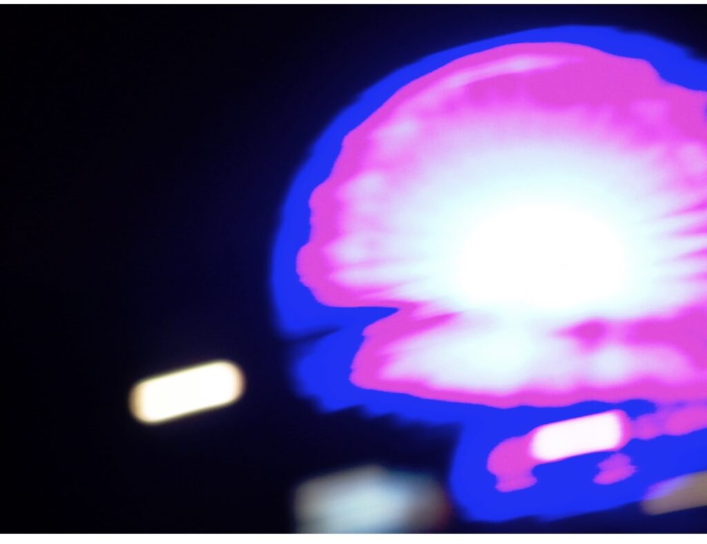 Santa Monica Pier, Los Angeles, CA, 2014