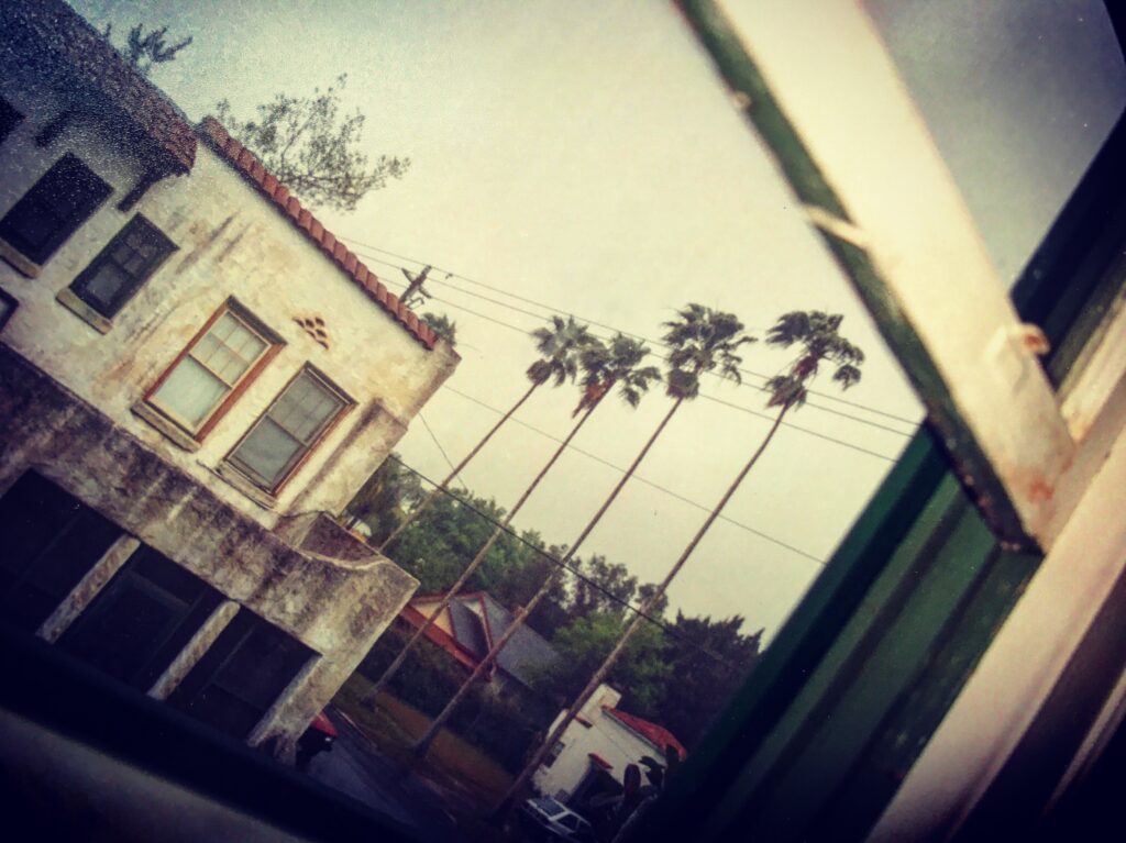 View from Bed, Sarasota, FL, 1988